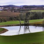 Spiegelung in einem nicht abgelassenen Fischteich