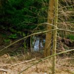 Das Güttinger Loch tarnt sich als Quelle