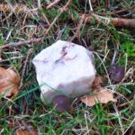 Ja was liegt denn da mitten am Weg?