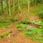 Der Silberbach wird neben einer Brücke überquert, da diese baufällig ist