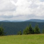 Nordpanorama vom Schneekopf