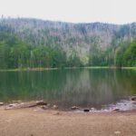 Baumleichen hinter dem Rachelsee Baumleichen hinter dem Rachelsee