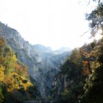 Mottkopf und Keilkopf im herbstlichen Gegenlicht