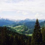 Heutal von oben, dahinter die Steinplatte und das von mir nach wie vor unerreichte Fellhorn Heutal von oben, dahinter die Steinplatte und das von mir nach wie vor unerreichte Fellhorn