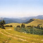 Zu faul, den Pistenzaun im Sommer abzubauen