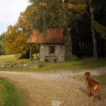 Auch Karlie bewundert die Kapelle