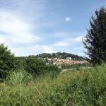 Durchblick nach Tännesberg mit Schlossberg