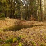 Wozu gehört diese Hüle?