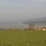 Noch eine Dunstimpression