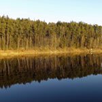 Mir fehlen die Worte