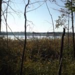 Apparatus in Ufernähe