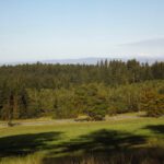 Erster Blick auf den Steinwald