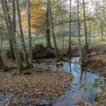Der gleichnamige Bach schaut da schon noch lebendiger aus