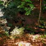 Taxölderner Schlucht Taxölderner Schlucht