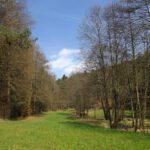 Frühlingshaftes Magdalenental