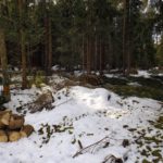 Bereit zum Abtransport