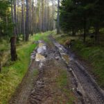 Die Kunst des Sauberbleibens