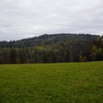 Erster Blick auf den Haselstein