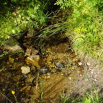 Am Weg zum Prášilské jezero plätschern immer wieder Bacherln herunter