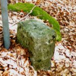 Früherer... Früherer...