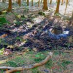 Wildschweinbadewanne