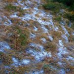 Im Schatten ist es noch ganz schön frostig Im Schatten ist es noch ganz schön frostig