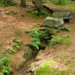 Kleiner Grenzverkehr mit Wartebankerl