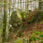 Noch ein braver Hund