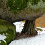 Überhang mit Stütze