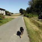 Ich geh jetzt einfach mal mit Dir mit, ok?