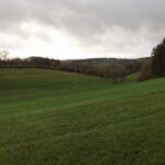 Ganz setzt sich die Sonne nicht durch