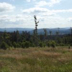 Meine beiden vorherigen Böhmerwaldziele Meine beiden vorherigen Böhmerwaldziele