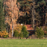 Nicht optimal verstecktes Häusl