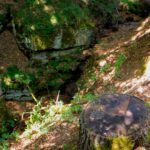 Schluchtschluss Schluchtschluss