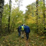 Lebendige Herbstgasse