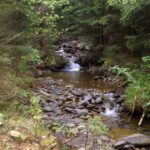 Bílý potok Bílý potok