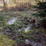 Positiv war nur die Trinkmöglichkeit für Coco