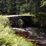 Bridge over (un-)troubled waters