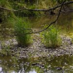 Für Birgitt Für Birgitt