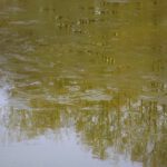 Wie man an schattigeren Teichen sieht, hatte es Nachtfrost