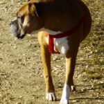 Herrlich dieser Sonnenschein!