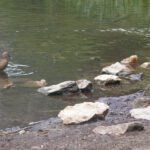 Empfangskommando Empfangskommando