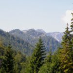 Dürrnbachhorn voraus