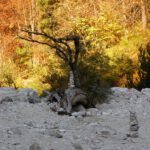 Steinmänner und Steinkreise gibt es im obersten begehbaren Bereich in Massen