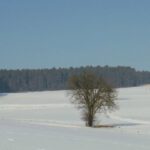 Rückblick auf den ersten Abschnitt