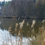 Keine Sorge, der Weichselbrunner Weiher läuft nicht aus!