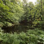 Sagwasserklause ohne Nässe von oben