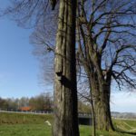 Da hat der Blitz eingeschlagen