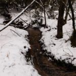 Der Schwefelbach ist nicht zugefroren