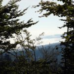 Im Křemelnátal hält sich noch der Bodennebel